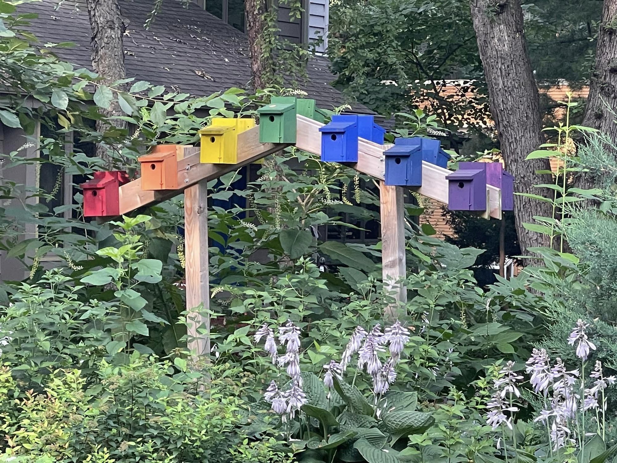 colorful bird houses in madison wi